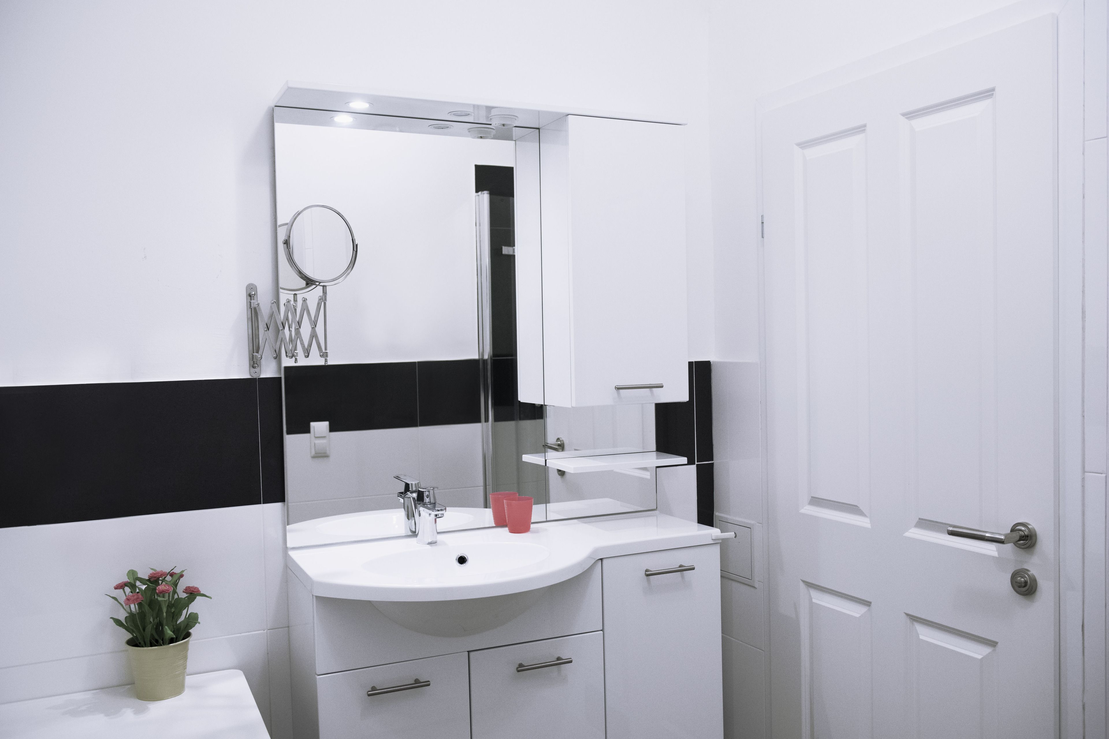 Une salle de bain moderne avec un lavabo blanc, un miroir et une plante en pot.