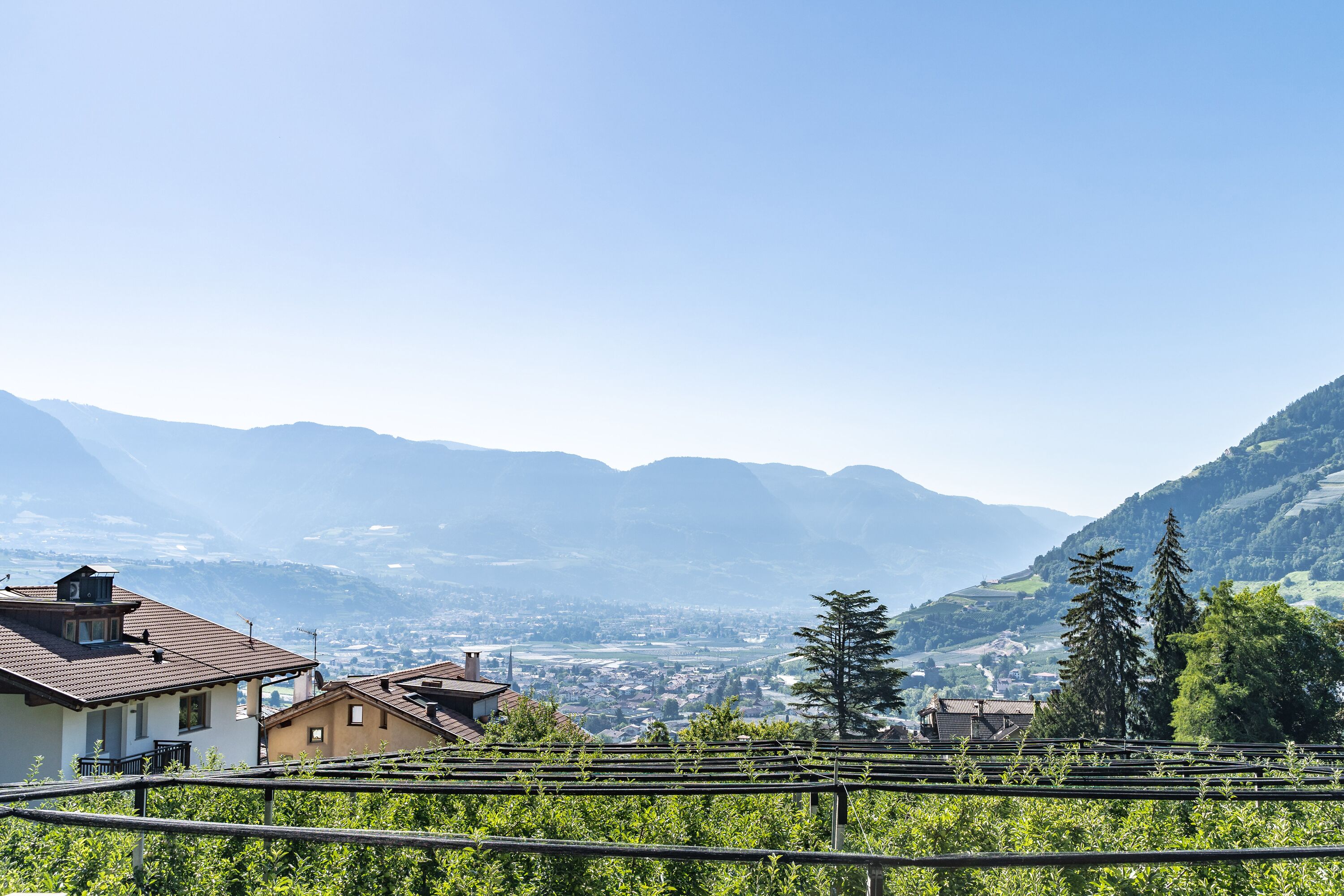 land view from property