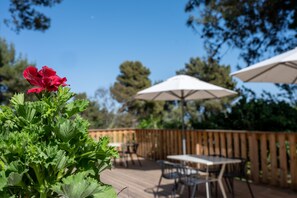 Terrace/patio - Malkiya TravelHotel (HaGalil HaElyon)