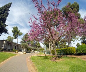 Property grounds - Malkiya TravelHotel (HaGalil HaElyon)