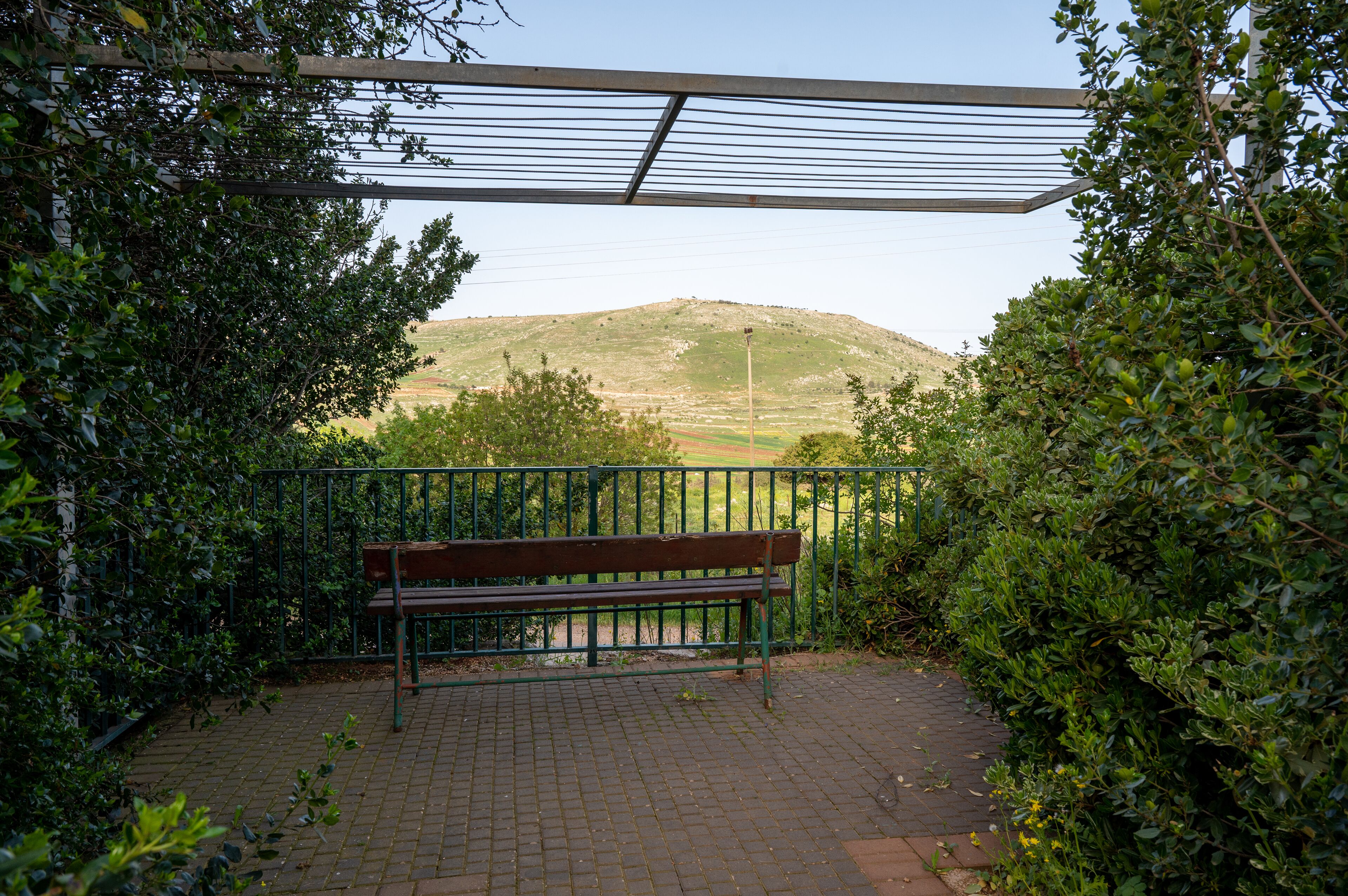A bench under a pergola in a garden with a view of a hill.