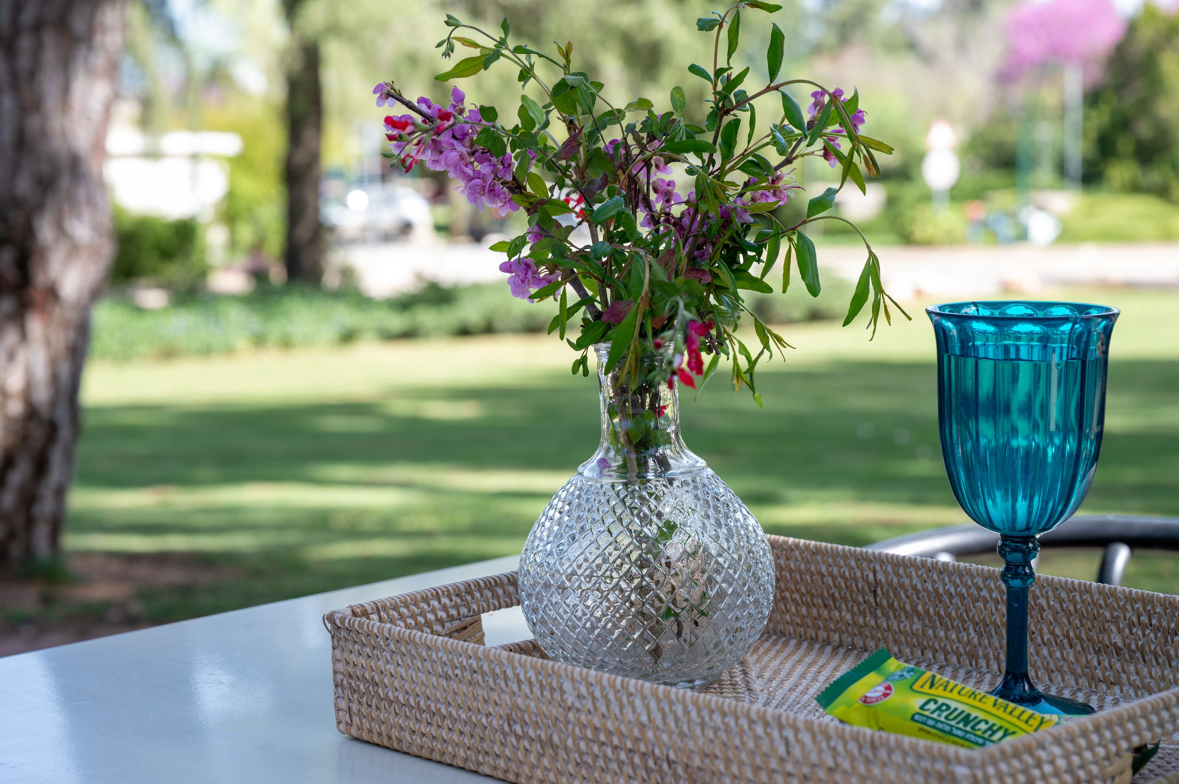 family one bedroom | terrace/patio