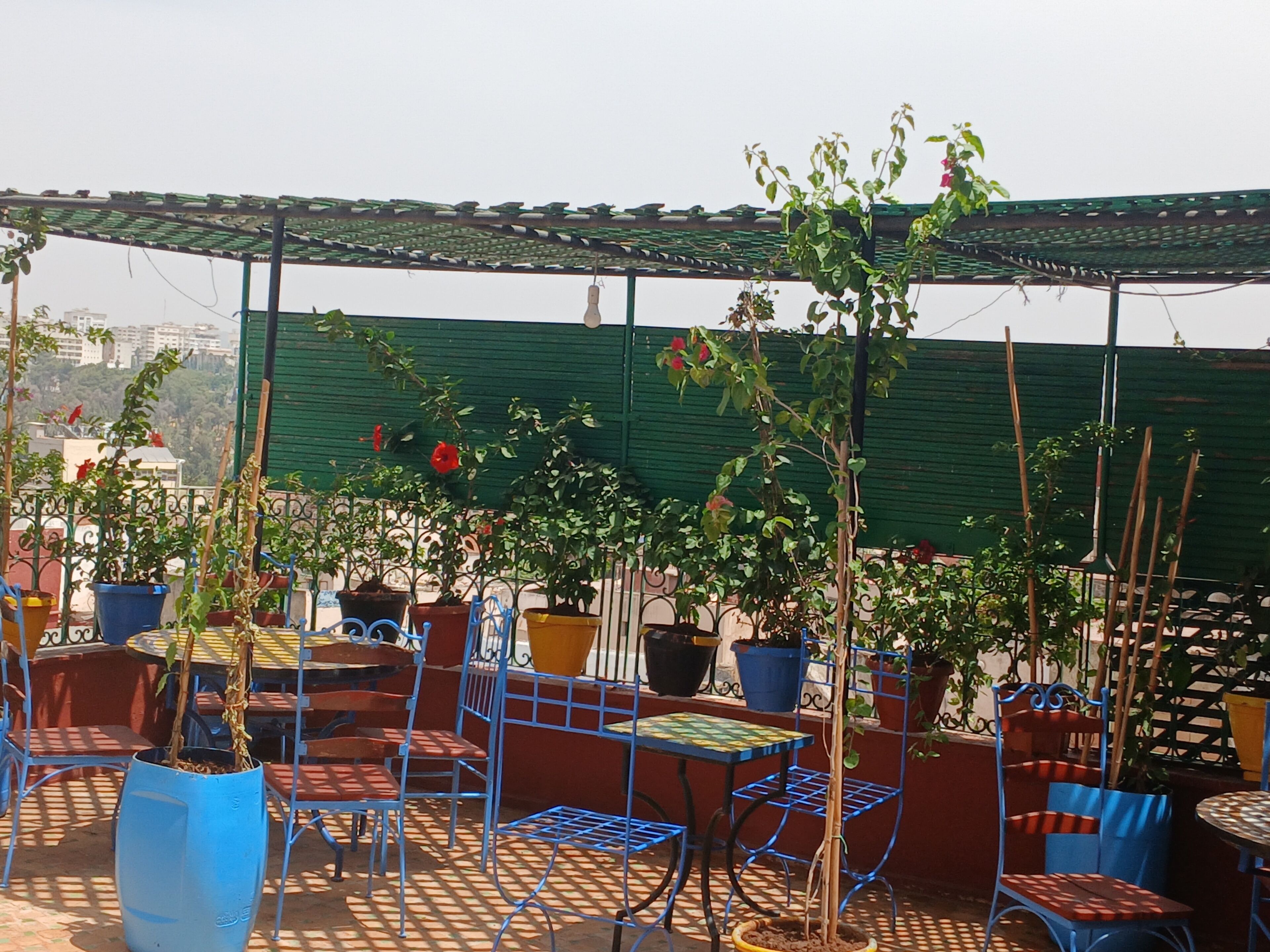 Foto - Riad Idrissi