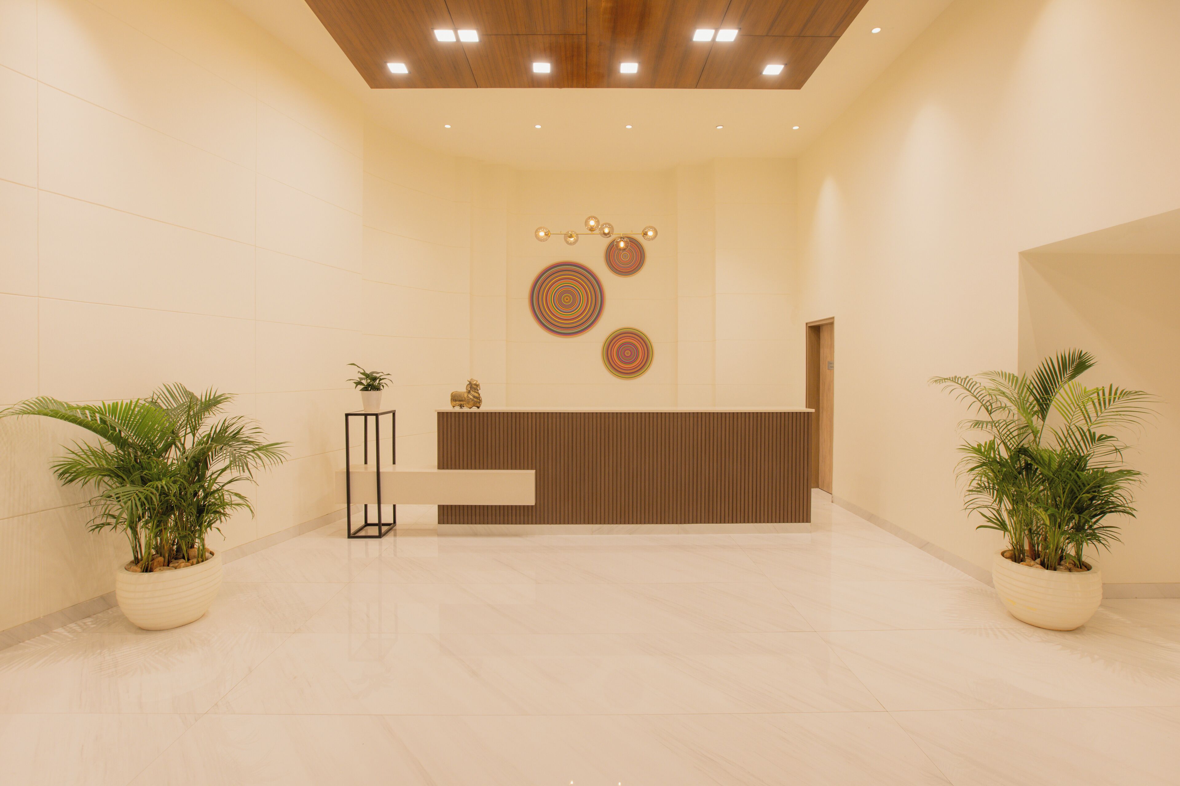A reception area with a wooden reception desk, two potted plants, and a wall with circular decorative patterns.