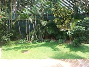 Jardim