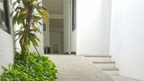 Un sendero bordeado de exuberante vegetación que lleva a la entrada de un edificio.