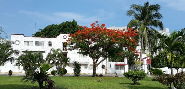 Un edificio blanco con techo rojo, rodeado de palmeras y un árbol en flor.