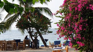 A beach setting with wooden chairs and tables, a palm tree, and pink flowers. - Baan Kiao Resort (Ko Pha-ngan)