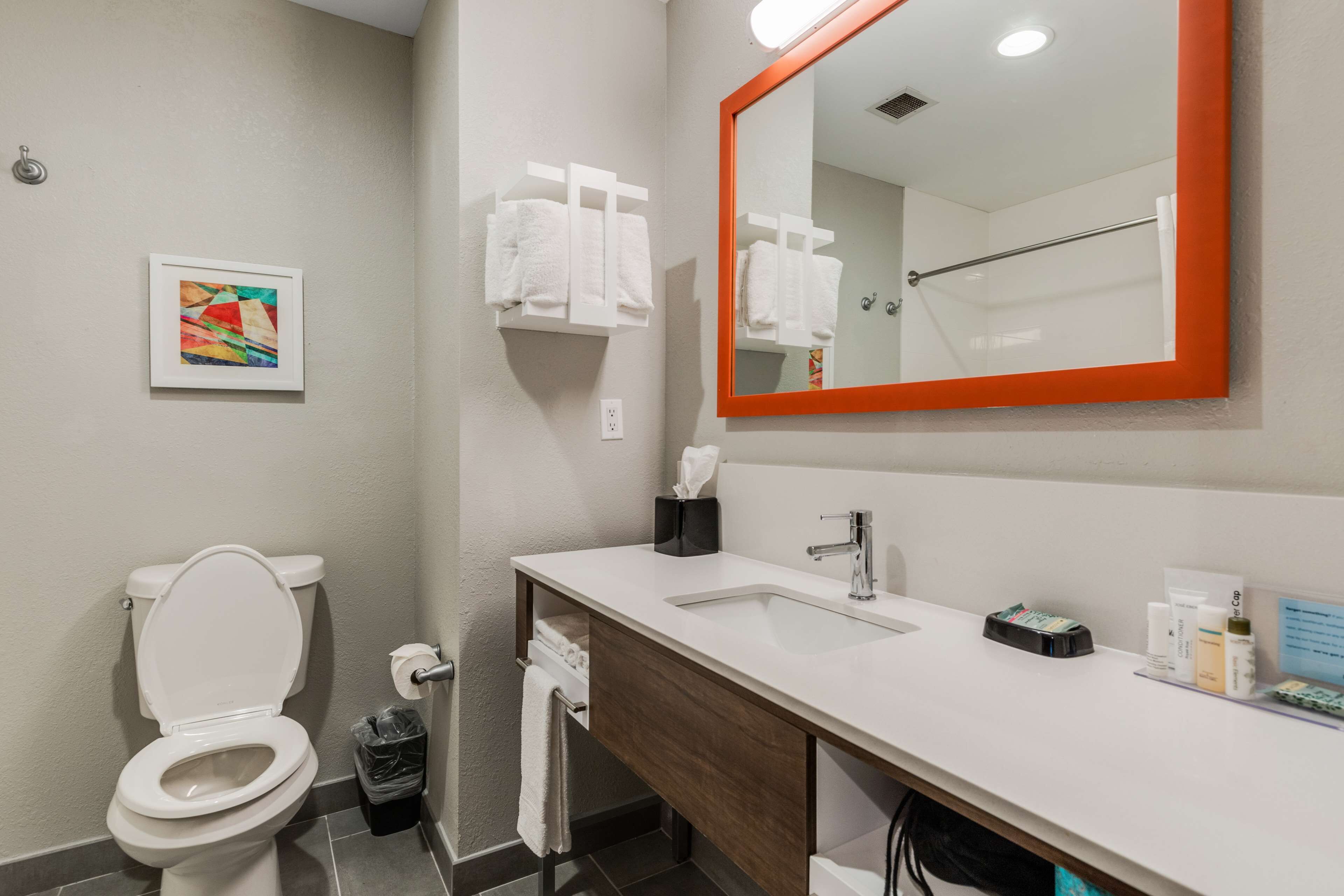 combined shower/bathtub, free toiletries, hair dryer, towels