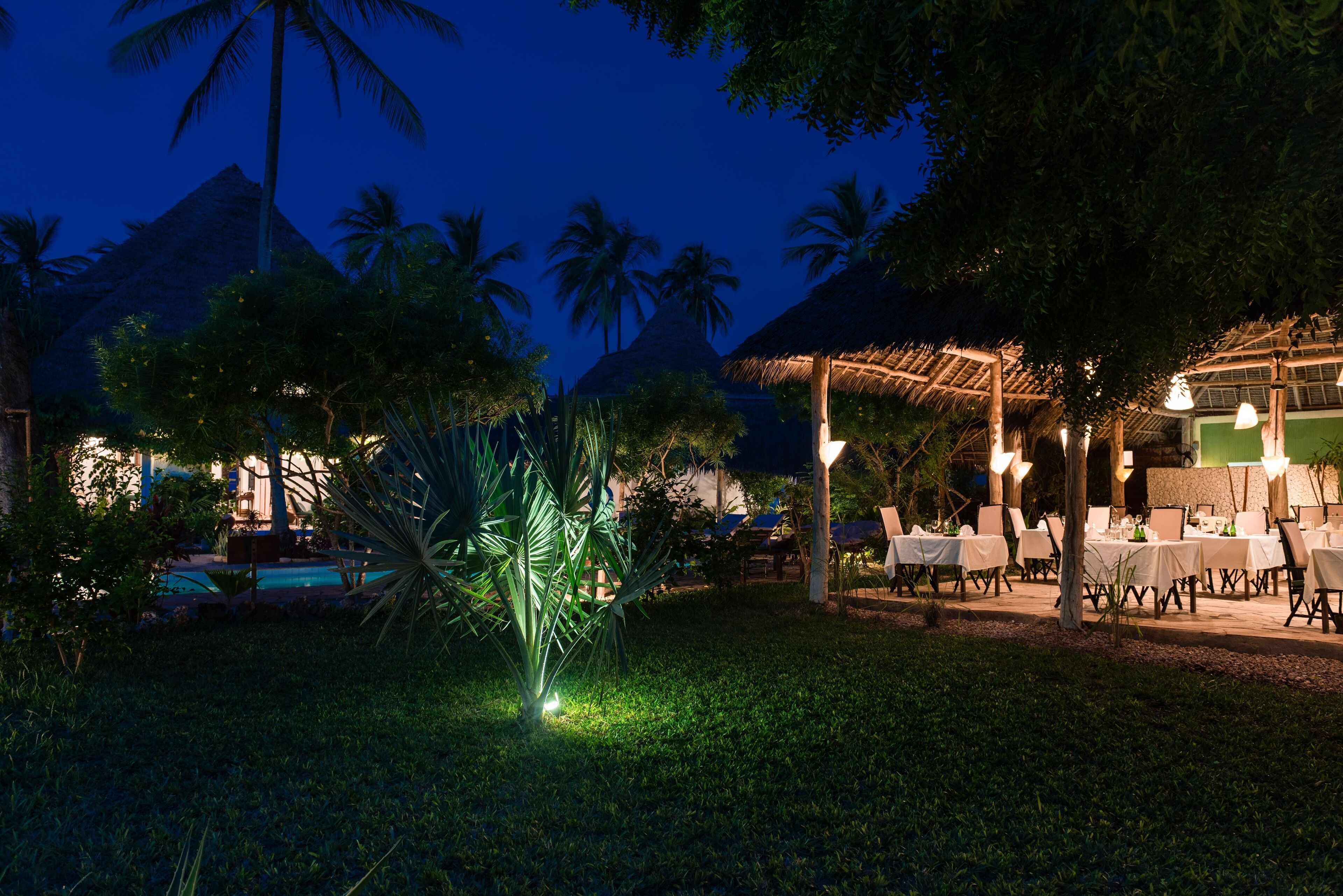An outdoor dining area with tables and chairs, surrounded by palm trees and a pool.
