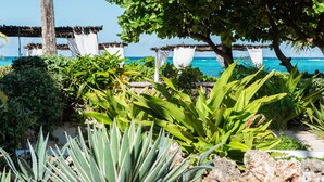 Un jardin tropical offrant une vue sur l’océan, agrémenté d’un belvédère, de diverses plantes et d’un palmier.