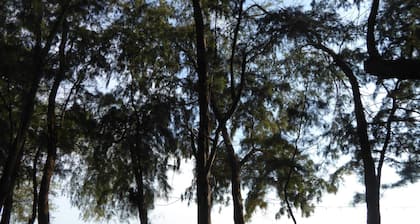 Tropical Beach Resort Rayong