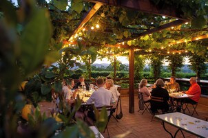 An outdoor dining area with tables under a pergola covered with vines, string lights, and a view of the landscape.