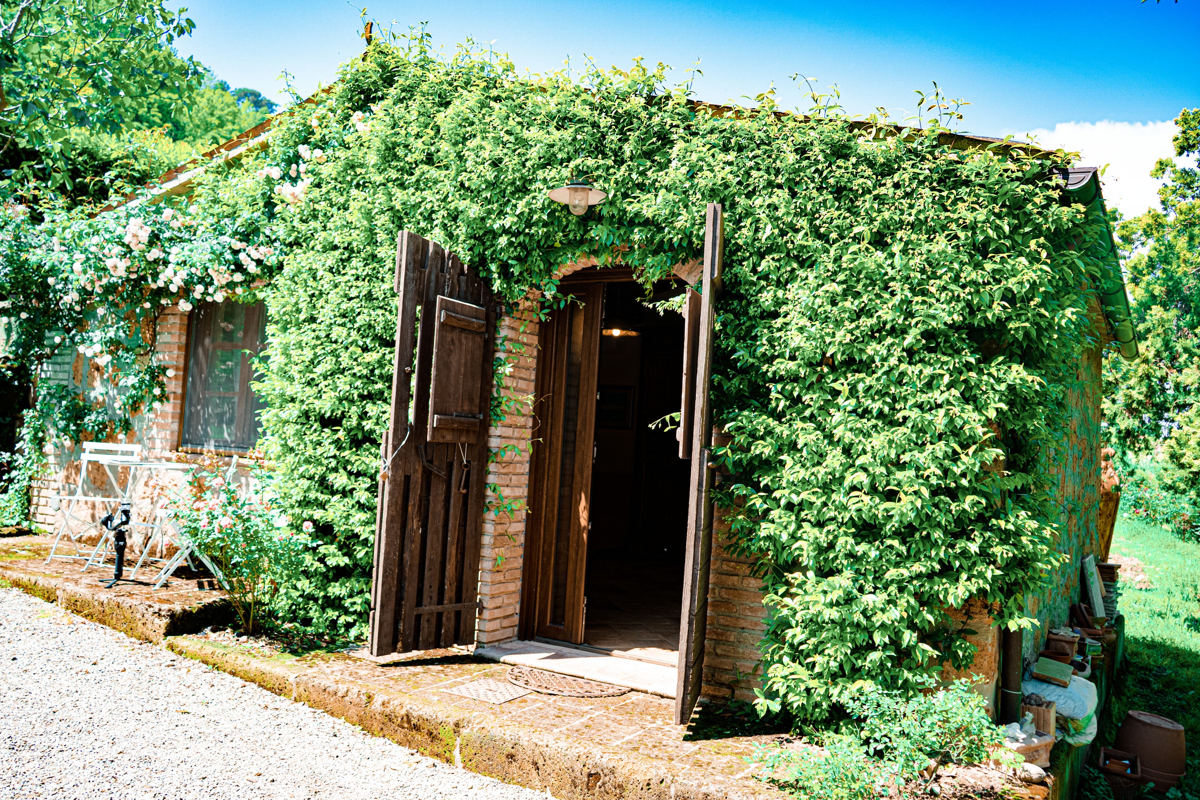 Chalet, 1 slaapkamer | Uitzicht op de tuin