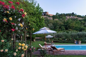 Seasonal outdoor pool, open 8:30 AM to 8:00 PM, pool umbrellas - Podere Sette Piagge (Orvieto)