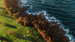 An aerial view of a coastal landscape with grassy fields and rocky cliffs. - Hotel Rusthållargården (Arild)