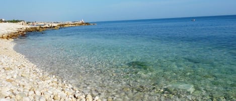 Private beach nearby, beach shuttle, beach bar