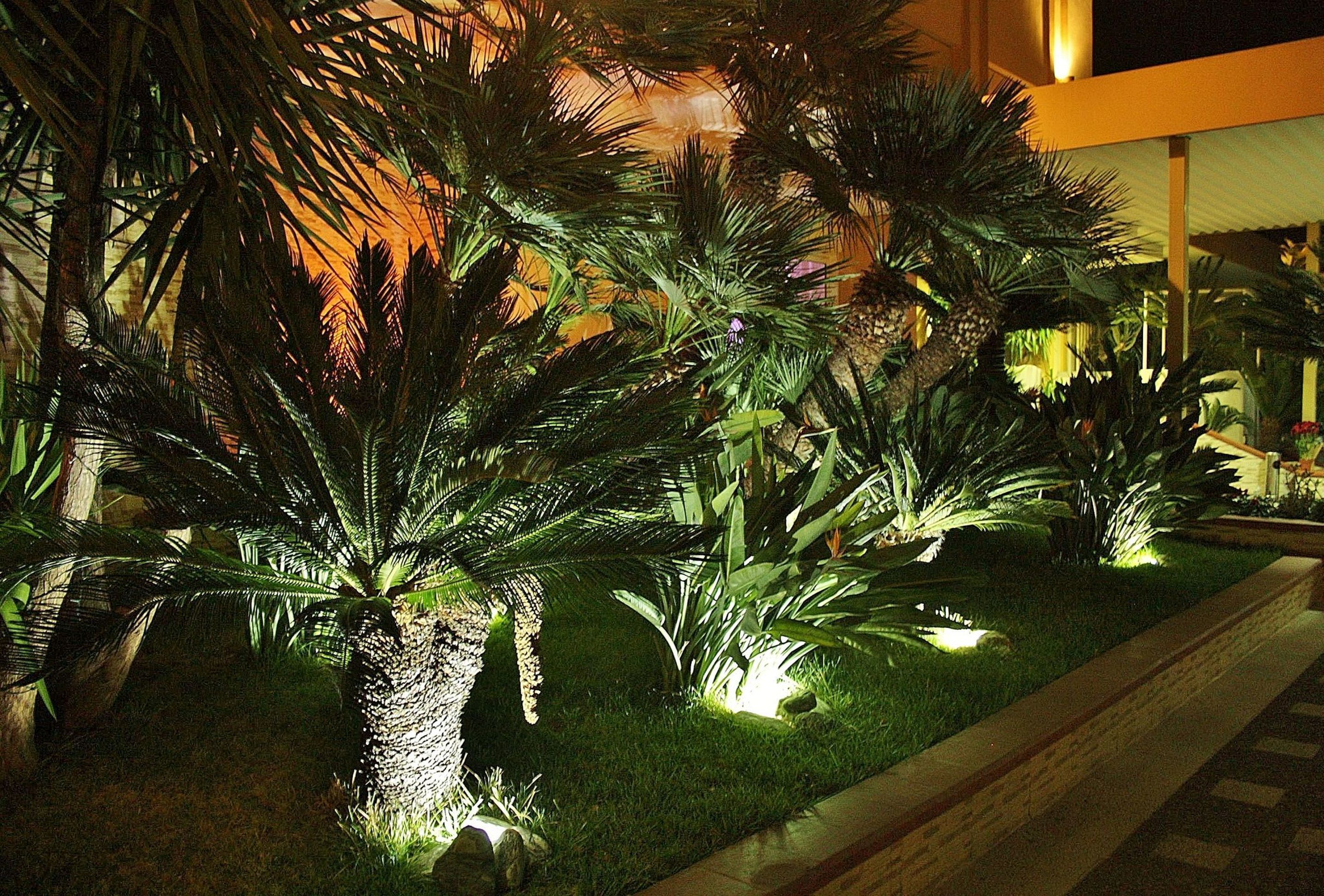 واجهة المنشأة