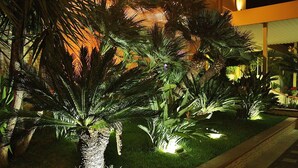 Un jardin bien éclairé, agrémenté de palmiers et doté d’un sentier.