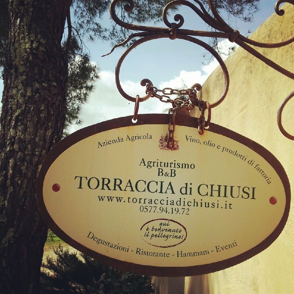Foto - Torraccia di Chiusi Agriturismo Relais