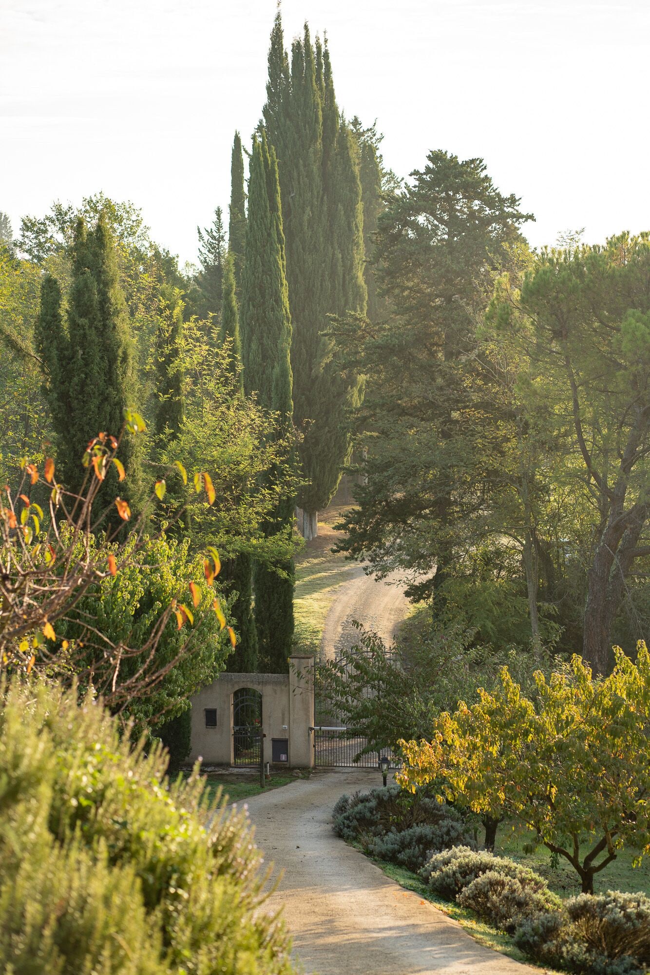Foto - Torraccia di Chiusi Agriturismo Relais