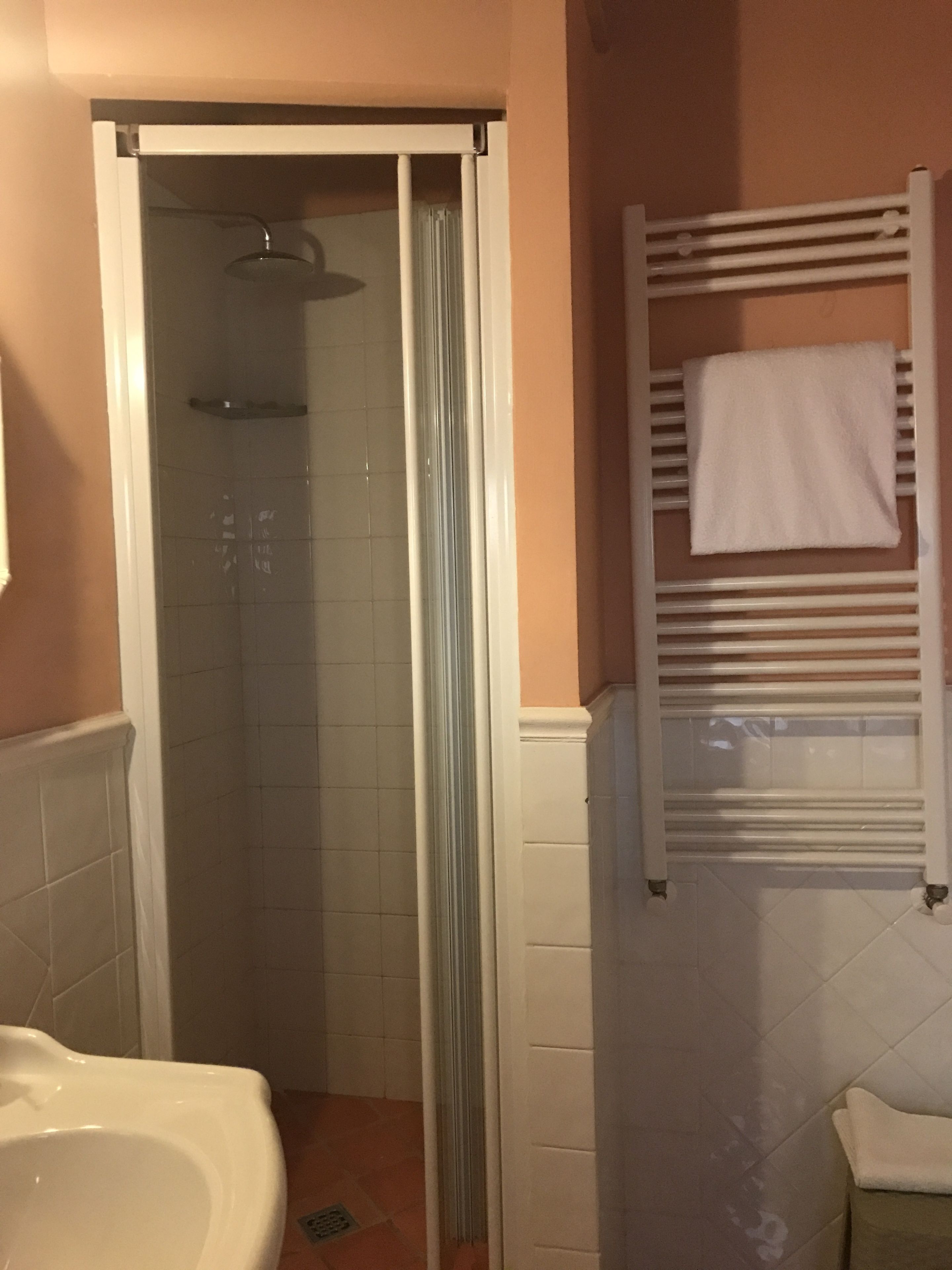 A bathroom with a shower, a toilet, and a towel rack.