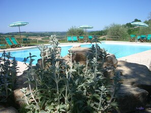 Seasonal outdoor pool, open 9:00 AM to 7:00 PM, pool umbrellas