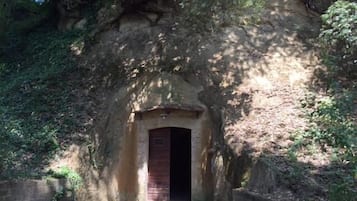 Bodega de vino