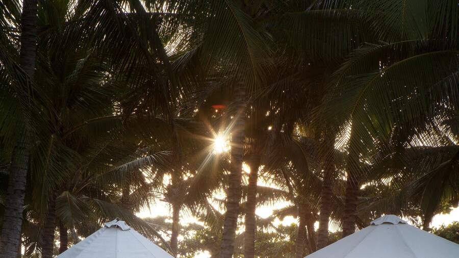 Blue Ocean Resort