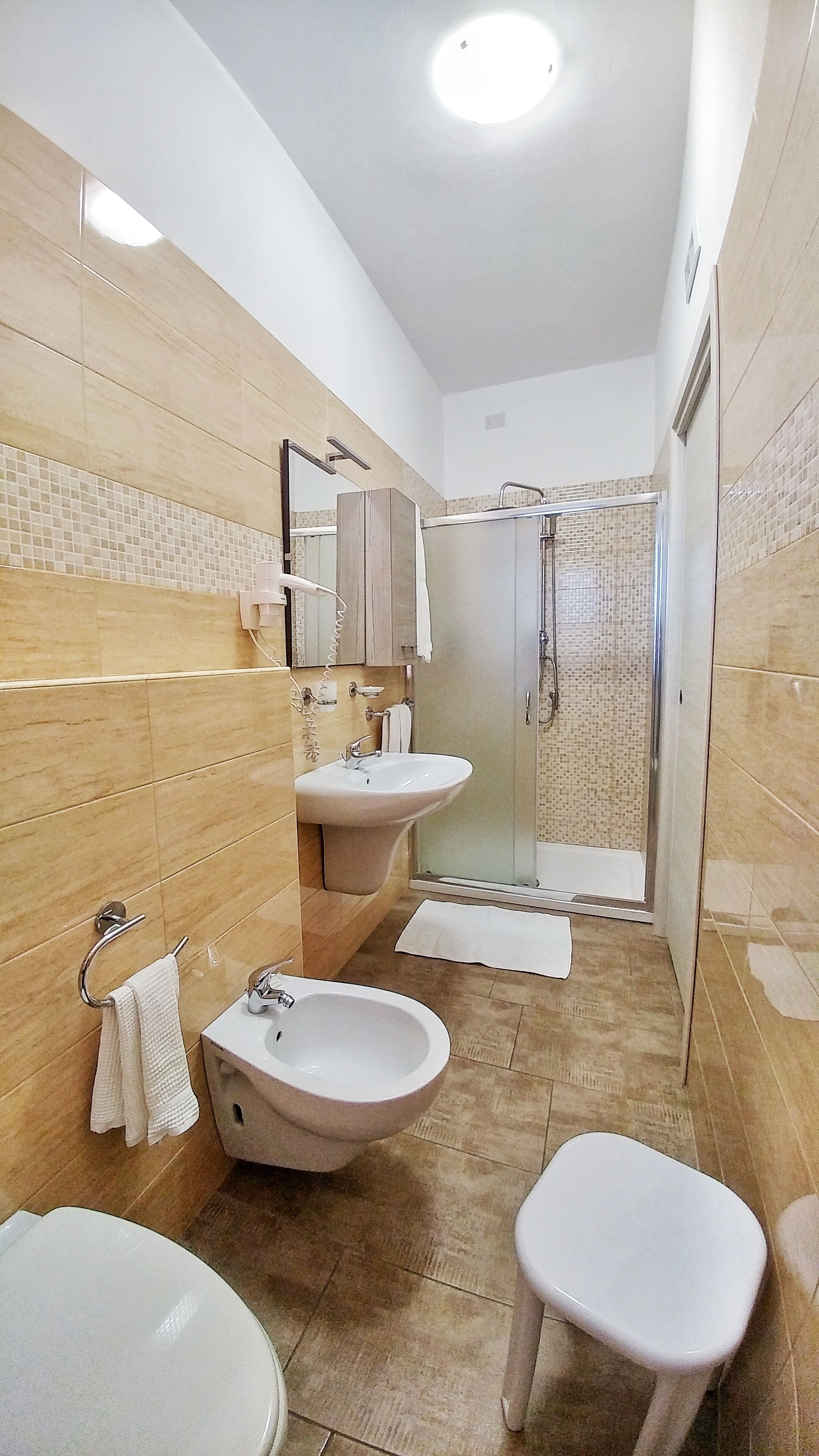 deluxe double or twin room | bathroom | shower, free toiletries, hair dryer, bidet