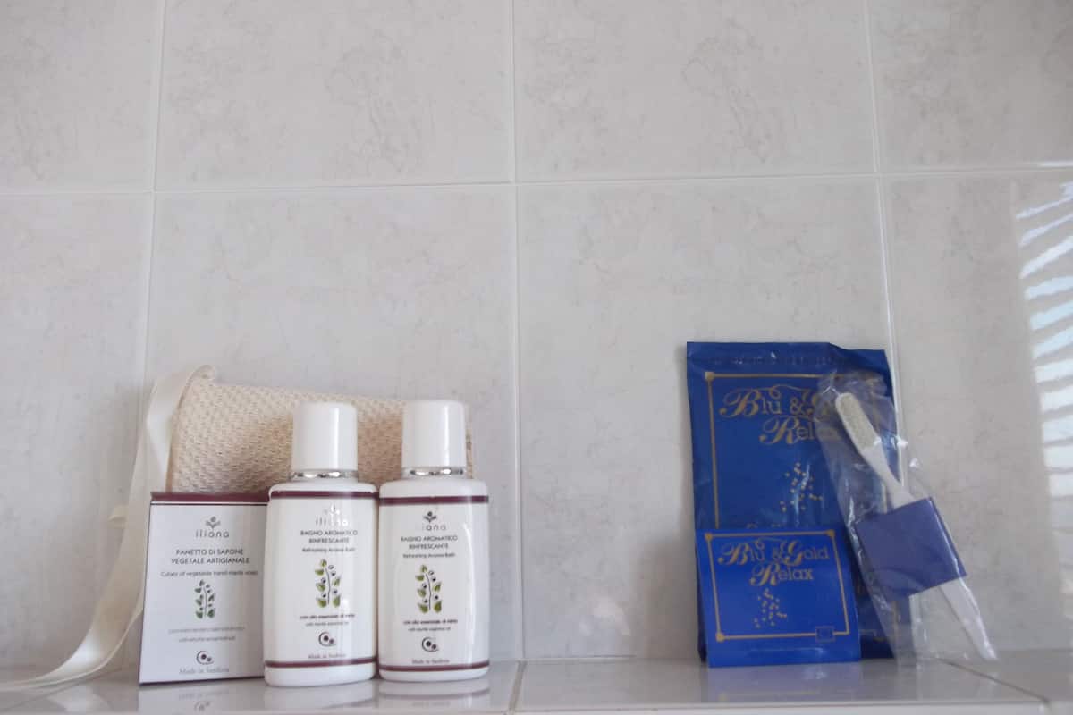 shower, free toiletries, hair dryer, bidet