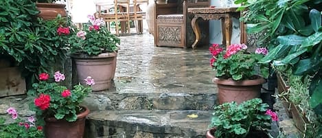A stone staircase leading to a wooden door, surrounded by potted plants and a wooden table with chairs.