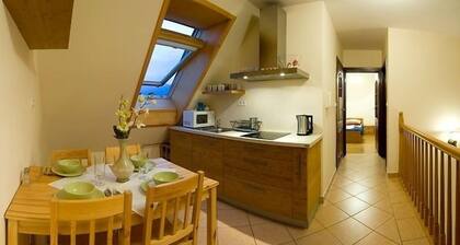 VISITzakopane Rainbow Apartments