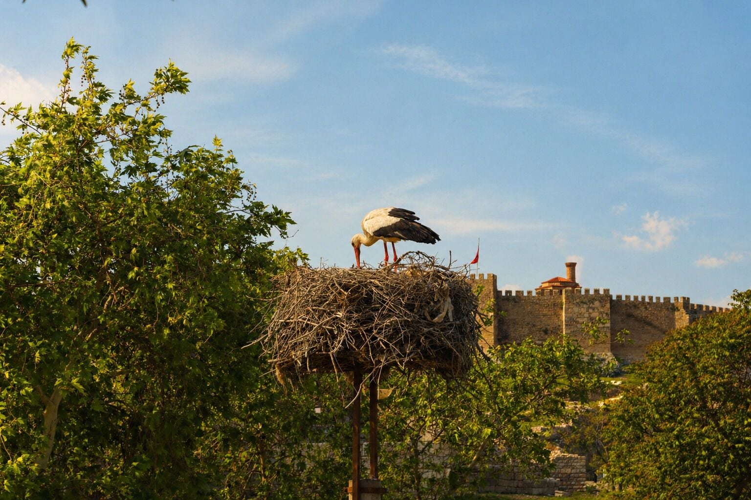 Ein Storch steht auf einem Nest, im Hintergrund eine Burg.