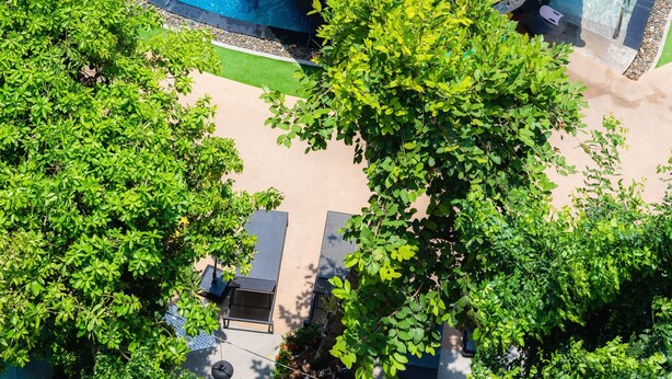 A rooftop pool with a tiled roof, surrounded by lush greenery and a clear blue pool.