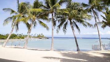 Privatstrand, Sonnenschirme, Strandtücher, Sporttauchen