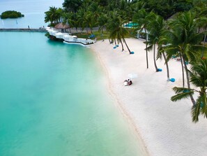 Playa privada, sombrillas, toallas de playa, buceo