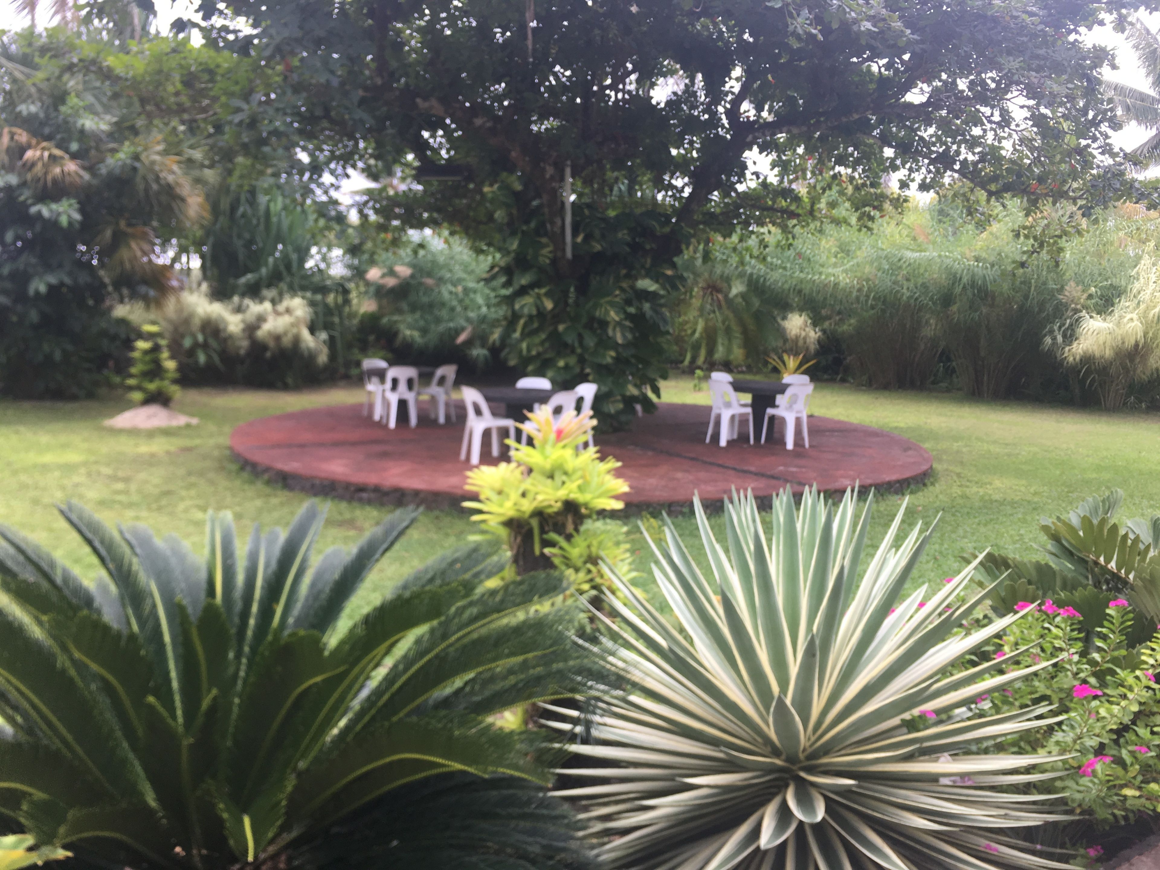 A circular outdoor seating area with white chairs and a central table, surrounded by lush greenery and various plants.