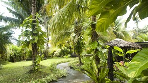 Un sendero en un jardín rodeado de exuberante vegetación tropical y una estructura con techo de paja.