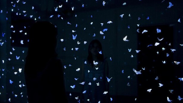 Una habitación con la silueta de una persona y una pared decorada con mariposas.