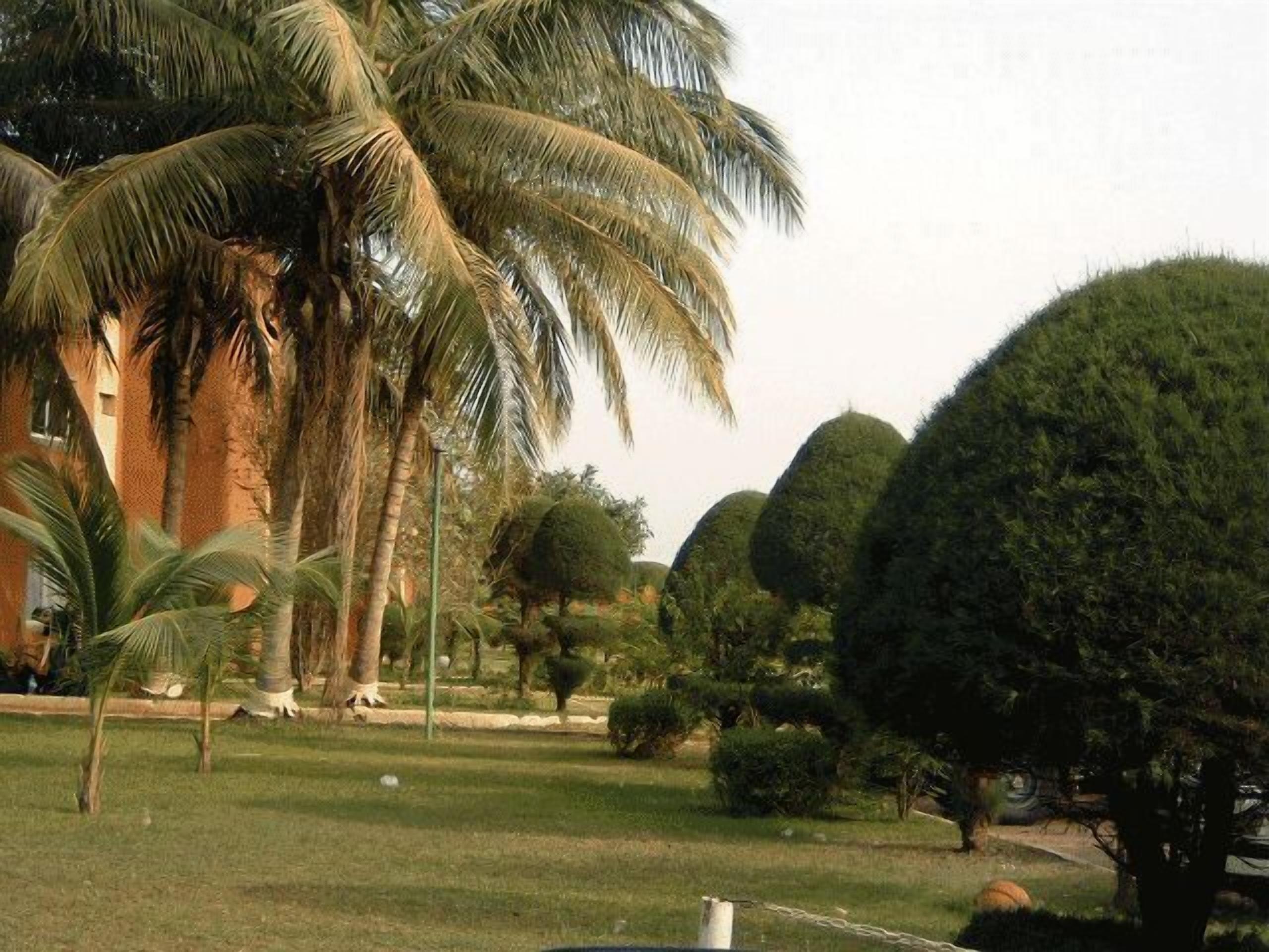 حديقة