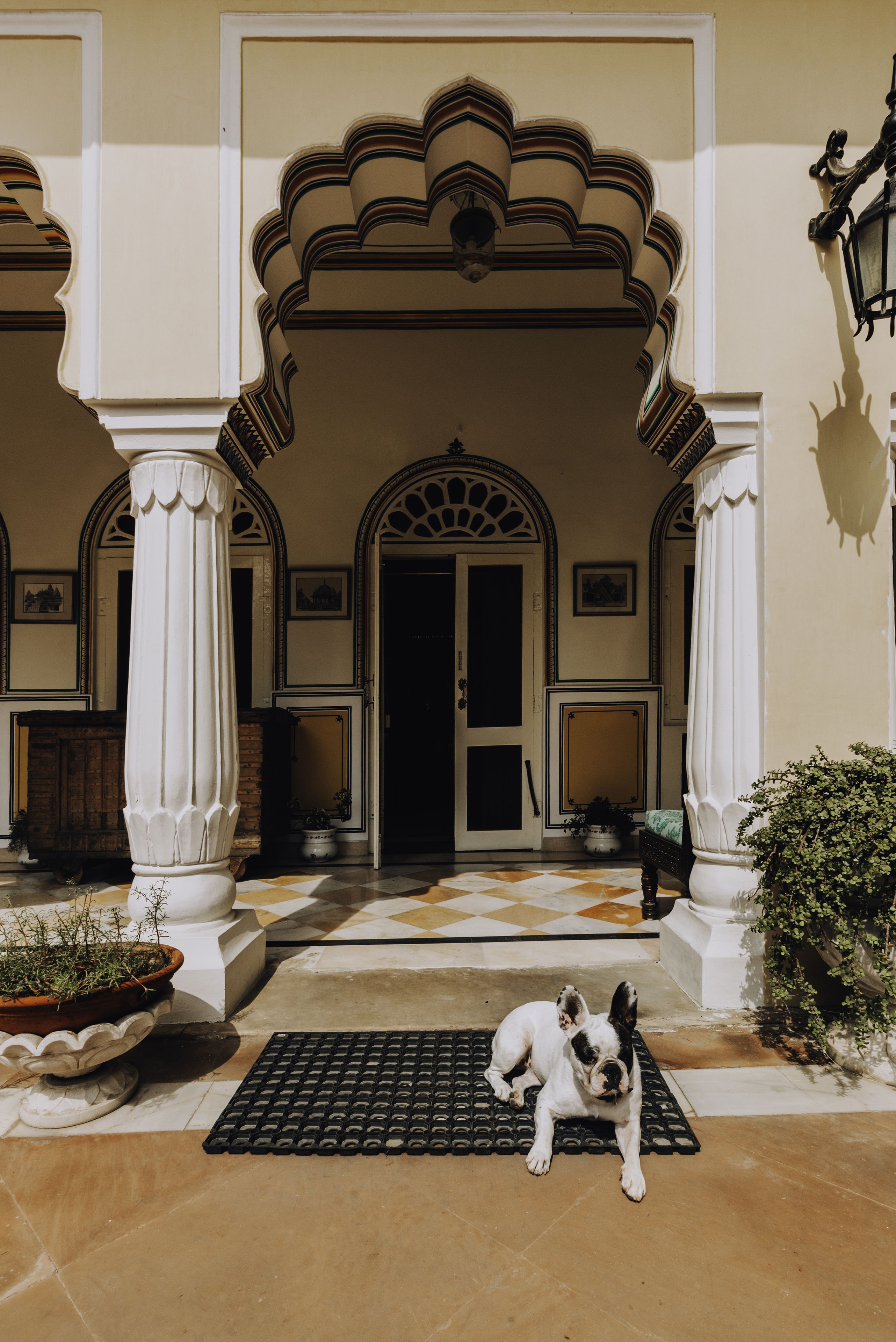 A dog sitting on a mat in front of a building with a checkered floor and a door with an arched entrance.