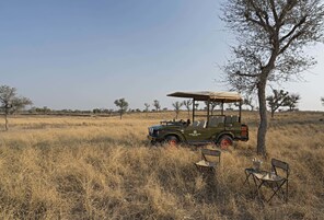 A safari vehicle parked in a dry grass field with a tree and two chairs nearby.