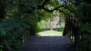 A brick pathway leading through a lush garden with dense foliage on either side. - Balneario Valle del Jerte (Valdastillas)