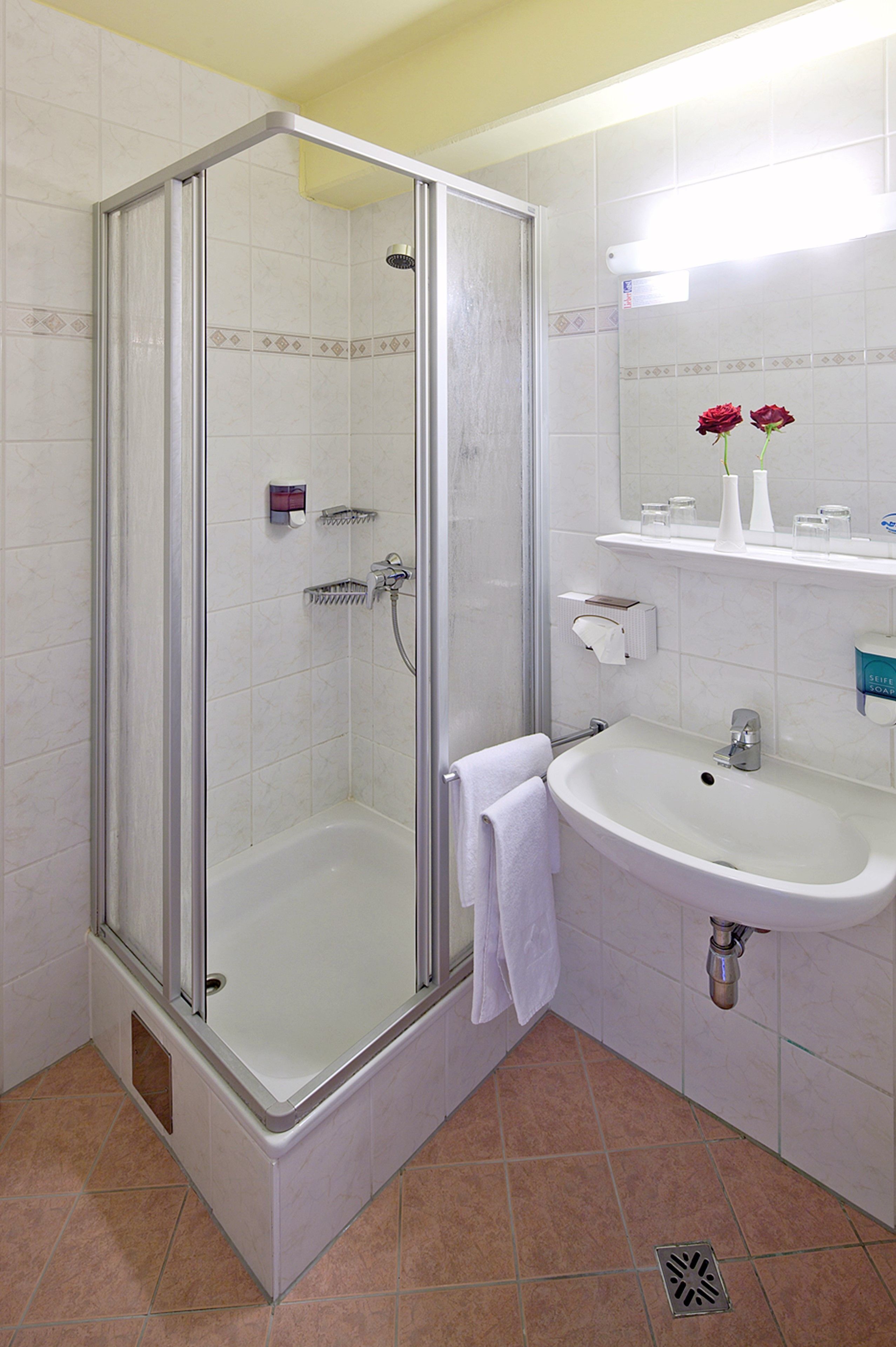 A bathroom with a glass-enclosed shower, a sink, and a mirror above it.