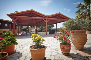 Garden - Pettas Apartments (Zakynthos)