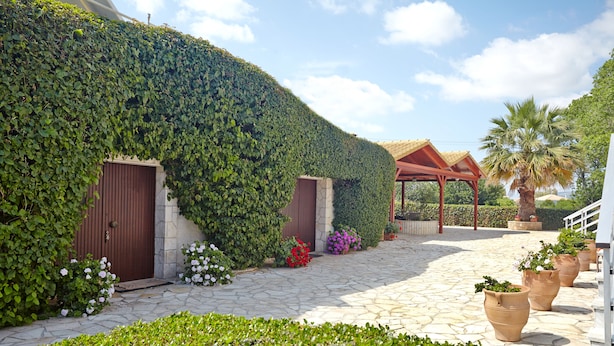 A courtyard with a stone pathway, a covered seating area, and a building partially covered by ivy. - Pettas Apartments (Zakynthos)