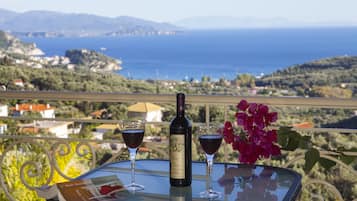 Studio, Sea View (Double Occupancy) | Balcony