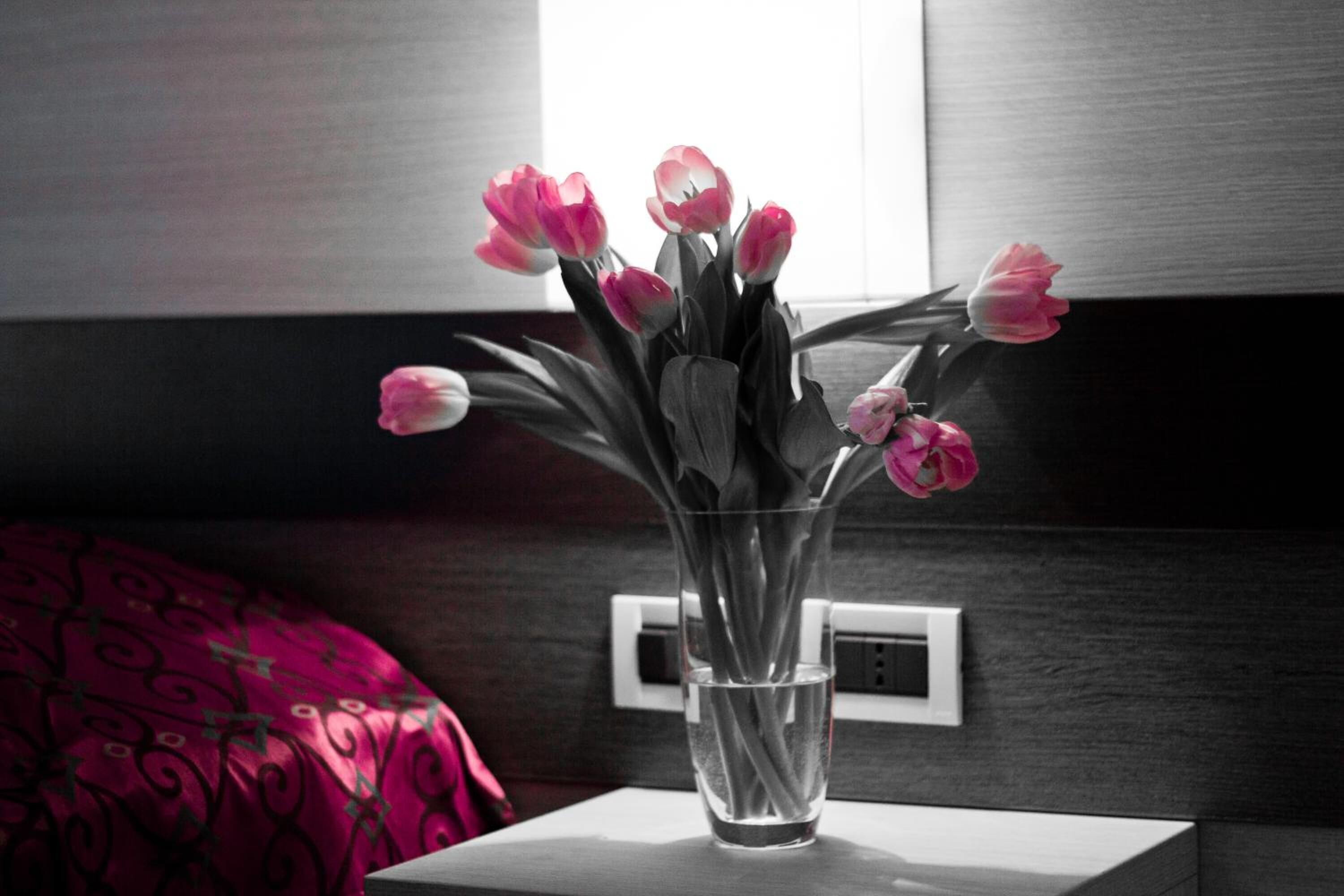 double or twin room | 1 bedroom, desk, soundproofing, free wifi