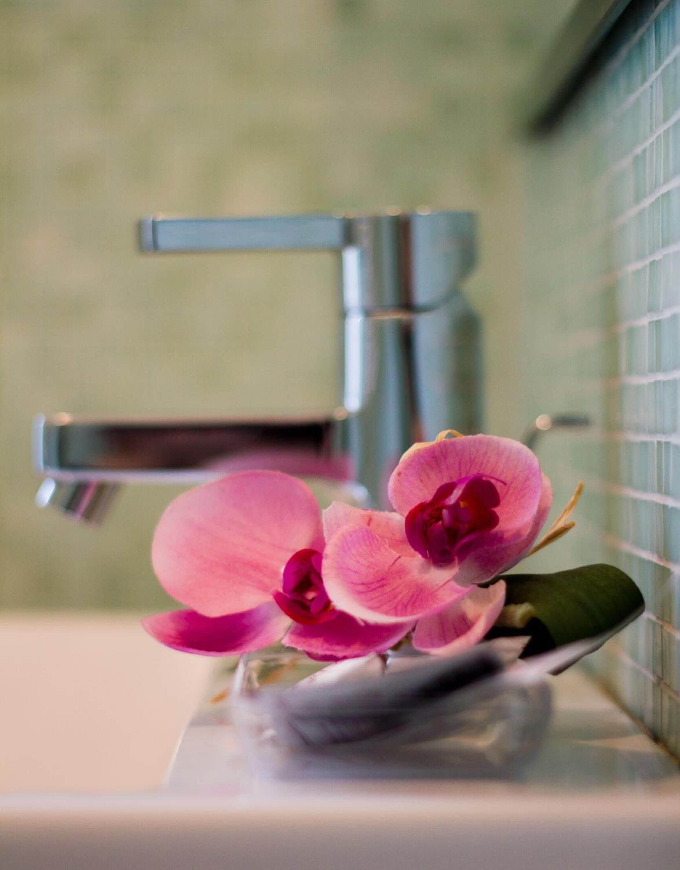 shower, eco-friendly toiletries, hair dryer, towels